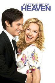 A Little Bit of Heaven | 2011 | cineplex52
