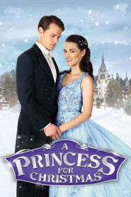 A Princess for Christmas | 2011 | cineplex52