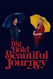 A Big Bold Beautiful Journey | 2025 | cineplex52